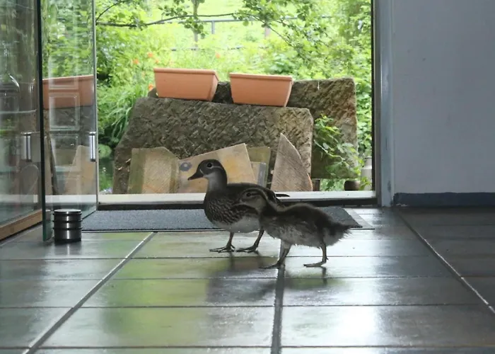 Gerberhaus Apartman Cottbus