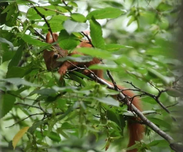 דירה Gerberhaus קוטבוס
