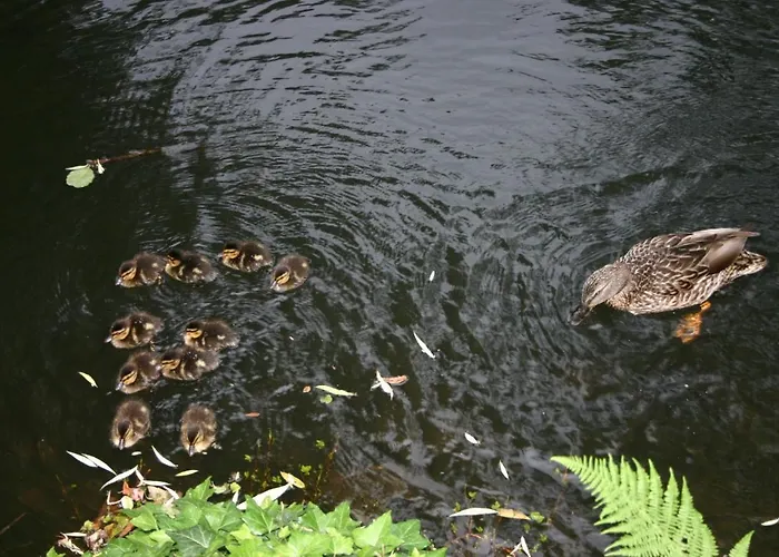 Gerberhaus קוטבוס